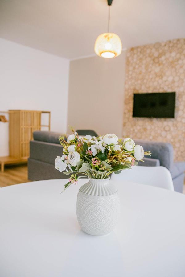 Apartmany Hejdukovi Krásná Lípa 外观 照片